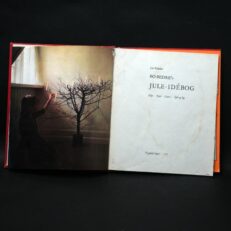 Lis Paludan, BO BEDRE’s Jule-idébog