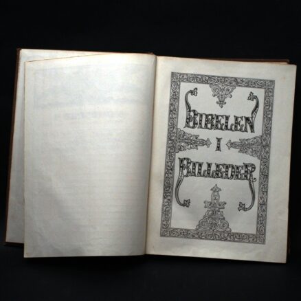 Jørgen Falk Rønne,  Biblen i billeder - Image 2