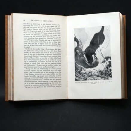 Charles G.D. Roberts, De små pelsklædte - Image 2