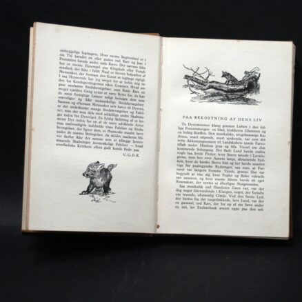 Charles G. D. Roberts , Røde ræv - Image 3