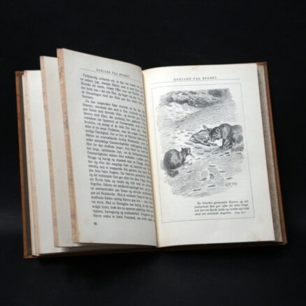 Charles G. D. Roberts, Vildmarkens Adel - Image 3