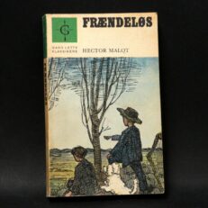Hector Malot, Frændeløs