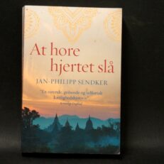 Jan-Philipp Sendker, At høre hjertet slå