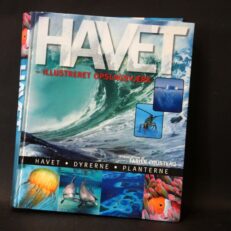 Fabien Cousteau,  Havet
