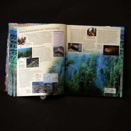Fabien Cousteau,  Havet - Image 2