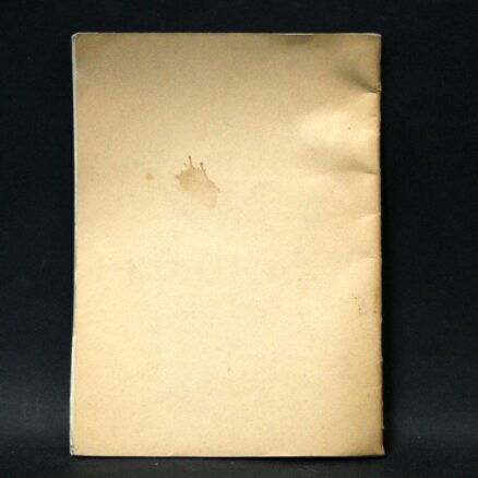 Vera  Larsen, Hammershus ruiner - Image 3