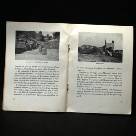 Vera  Larsen, Hammershus ruiner - Image 2