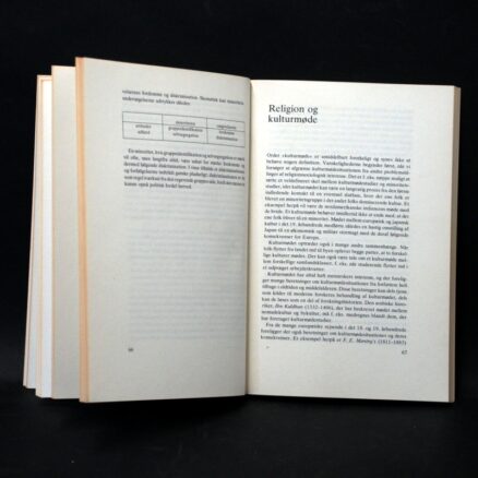 Margit Warburg, Religionssociologi - Image 2