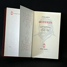 Maxim Gorkij, Moderen