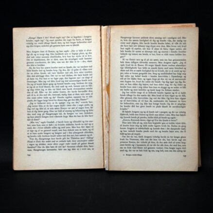 J.R.R. Tolkien, Kongen vender tilbage - Image 2
