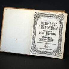 Jørgen Falk Rønne, Biblen i billeder