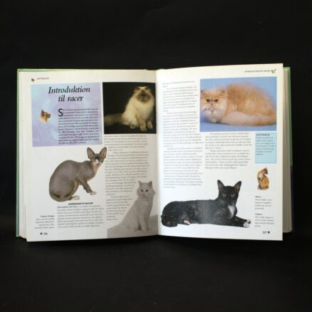 Michael Pollard, Den store bog om katte - Image 2