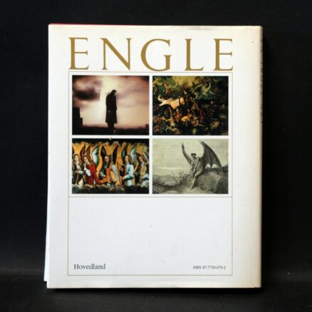 Malcolm Godwin,  Engle - en truet art - Image 3