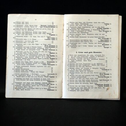 Th  Mortensen, Flora for begyndere - Image 3