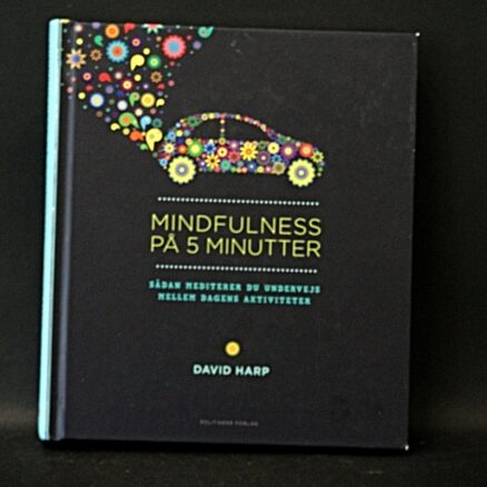 David Harp, Mindfulness på 5 minutter
