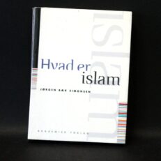 Jørgen Bæk Simonsen, Hvad er islam