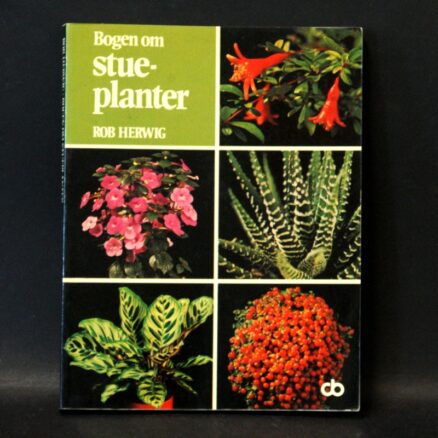 Rob Herwig, Stueplanter