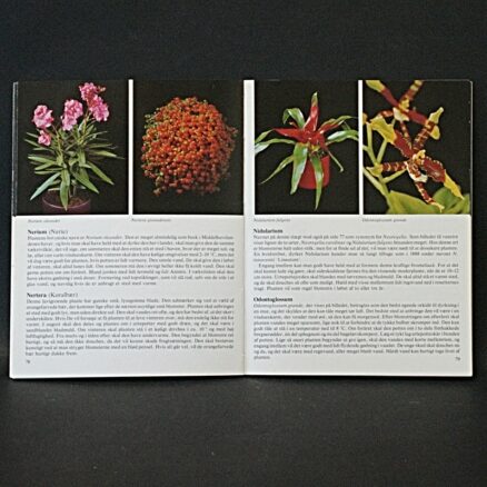 Rob Herwig, Stueplanter - Image 2