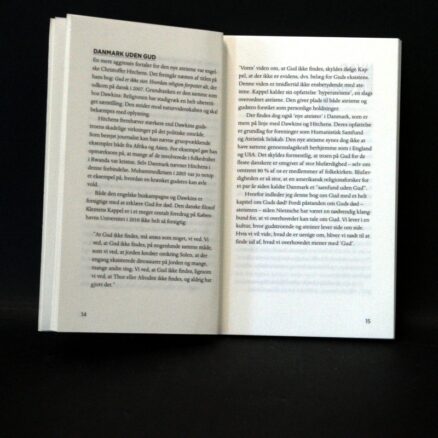 Svend Andersen, Gud - Image 2