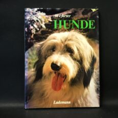 Wendy Boorer, Hunde