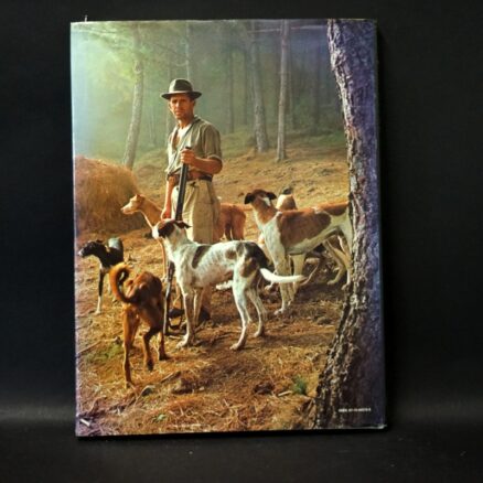 Wendy Boorer, Hunde - Image 3