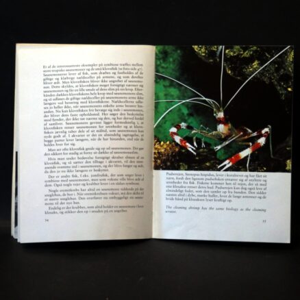 Arne Schiøtz, Danmarks Akvarium - Image 2