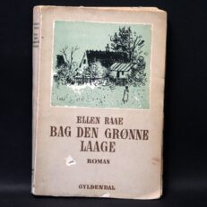 Ellen Raae, Bag den grønne Laage