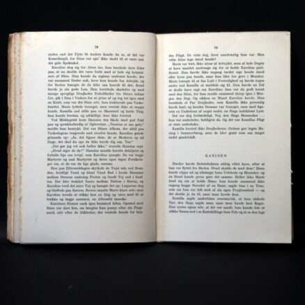 Ellen Raae, Bag den grønne Laage - Image 2