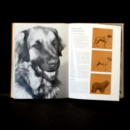 Michel Villemont, Lademanns store hundebog - Image 2