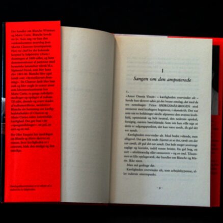 Per Olov Enquist, Bogen om Blanche og Marie - Image 2