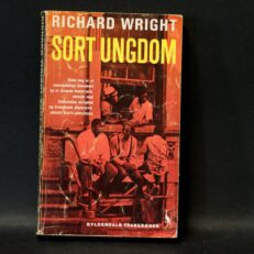 Richard Wright, Sort Ungdom