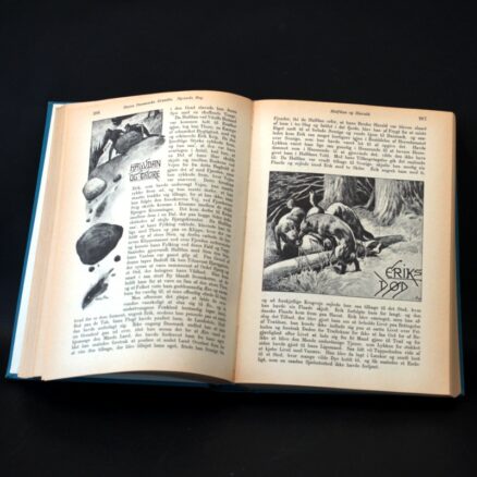Saxo Grammaticus, Danmarks Krønike - Image 3