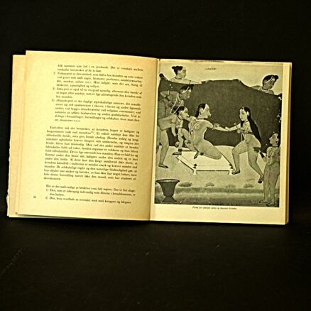 Kalyana Malla, Ananga Ranga – Indiens ældgamle elskovskunst - Image 2