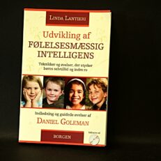 Linda Lantieri, Udvikling af følelsesmæssig intelligens