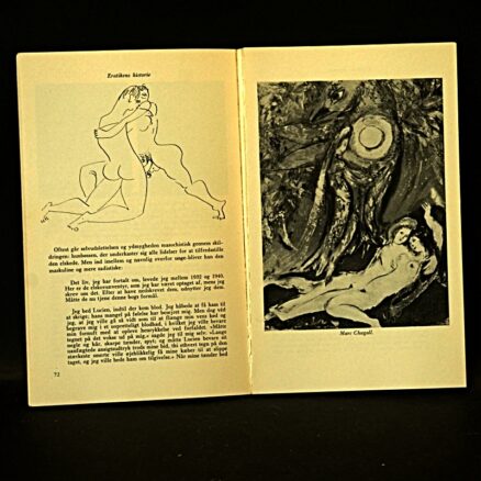Ove Brusendorff, Erotikens historie VI - Image 2