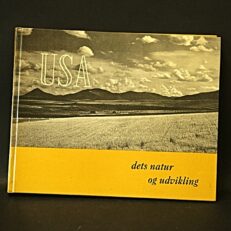 USA, Dets natur og udvikling
