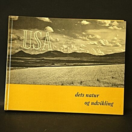 USA, Dets natur og udvikling