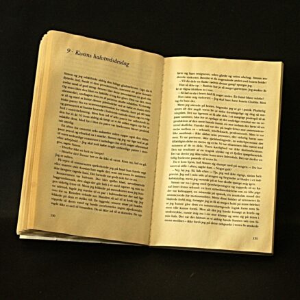 Amy Tan, De hundrede hemmelige sanser - Image 2