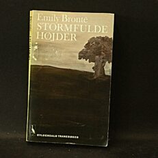 Emily Brontë, Stormfulde højder