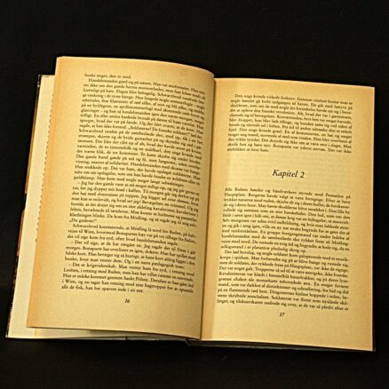 Gilles Lapouge, Slaget ved Wagram - Image 2