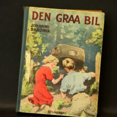 Johanne Brauner,  Den graa bil