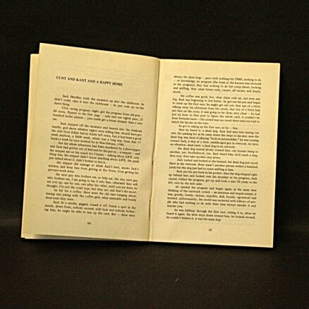 Charles Bukowski, Tales of Ordinary Madness - Image 2