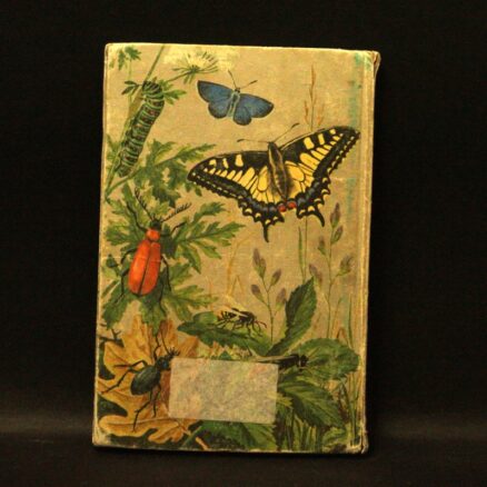 Hans Hvass, Insekter i farver - Image 3