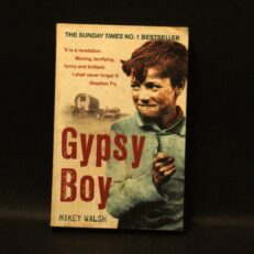 Mikey Walsh, Gypsy Boy
