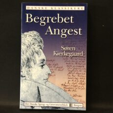 Søren Kierkegaard, Begrebet Angest