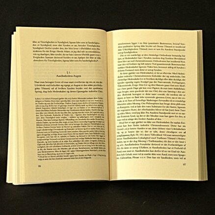 Søren Kierkegaard, Begrebet Angest - Image 2