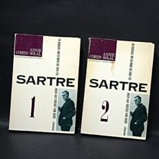 Annie Cohen-Solal, Sartre