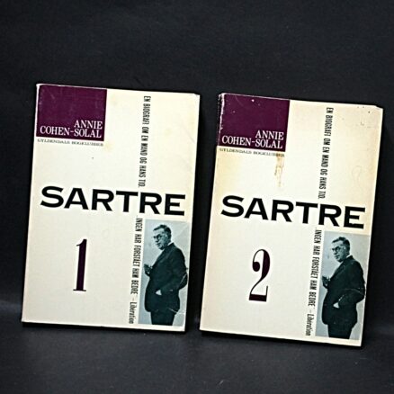 Annie Cohen-Solal, Sartre