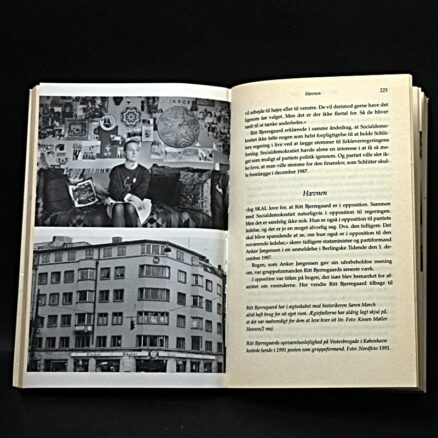 Louise Detlefsen, Ritt Bjerregaard - Image 2