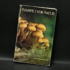 MAURI KORHONEN, Svampe i vor natur